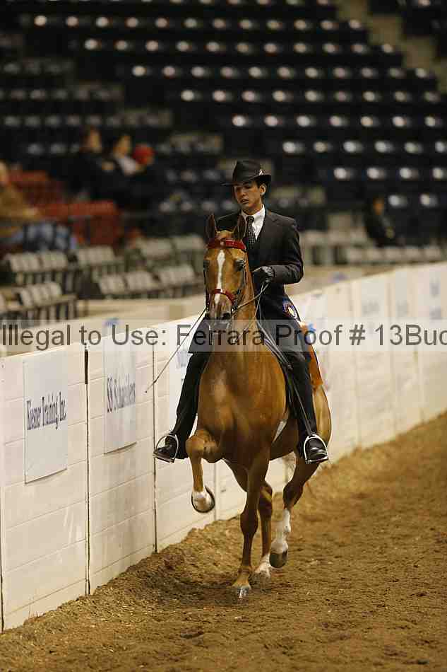 Proof 13buck_5028