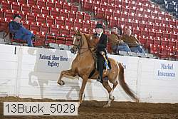 13buck_5029 proof