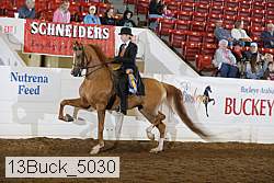 13buck_5030 proof