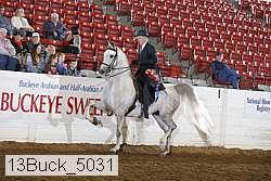 13buck_5031 proof