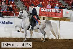 13buck_5033 proof