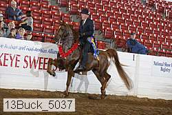 13buck_5037 proof