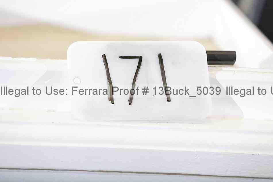 Proof 13buck_5039
