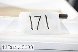 13buck_5039 proof