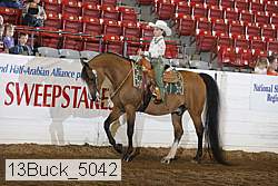 13buck_5042 proof