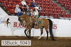 13buck_5043 proof