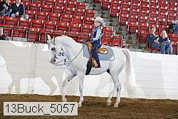 13buck_5057 proof