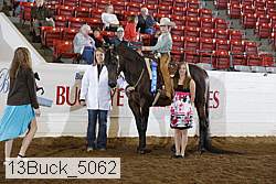 13buck_5062 proof