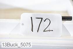 13buck_5075 proof