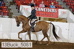 13buck_5081 proof