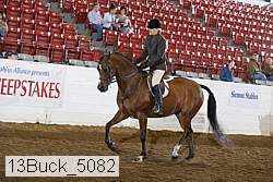 13buck_5082 proof