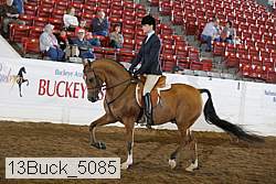 13buck_5085 proof