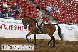 13buck_5087 proof