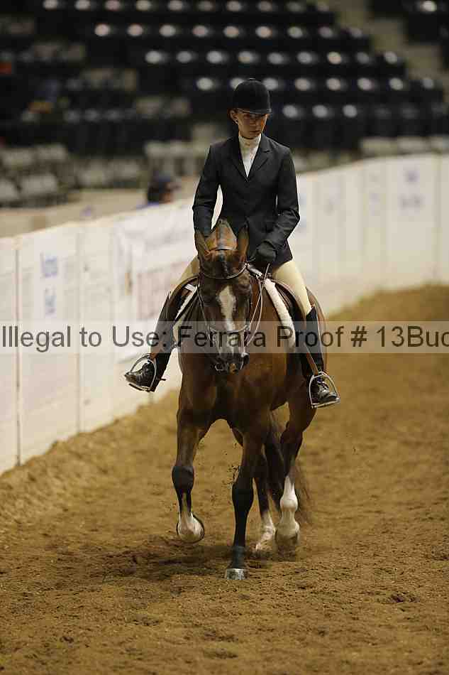 Proof 13buck_5090