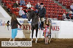 13buck_5093 proof