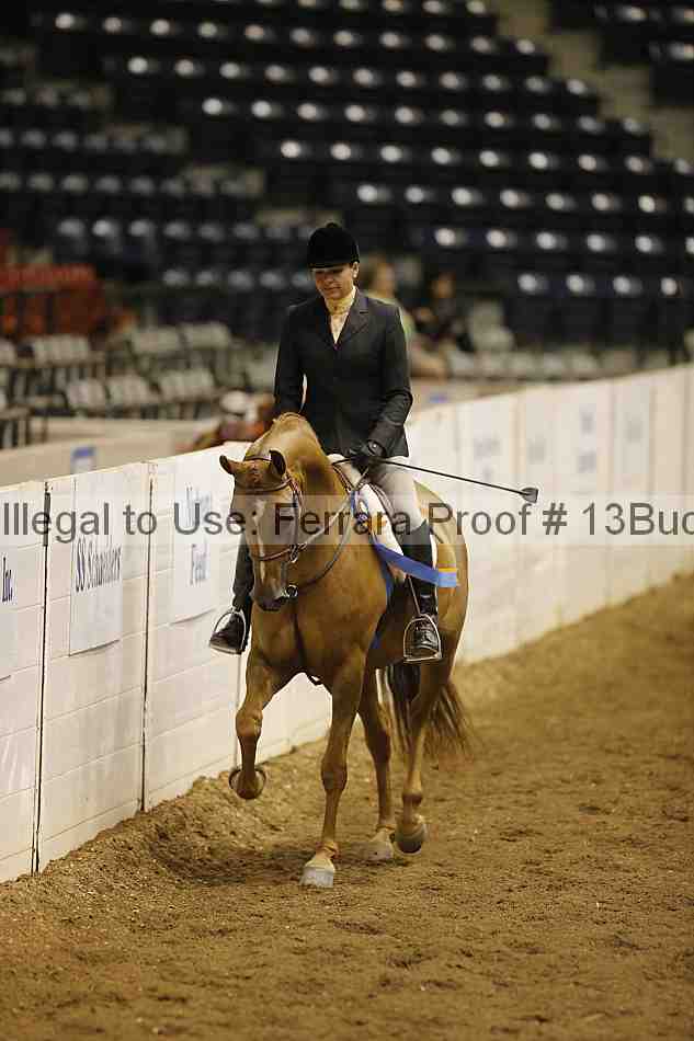 Proof 13buck_5102