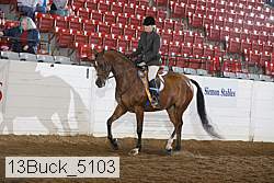 13buck_5103 proof