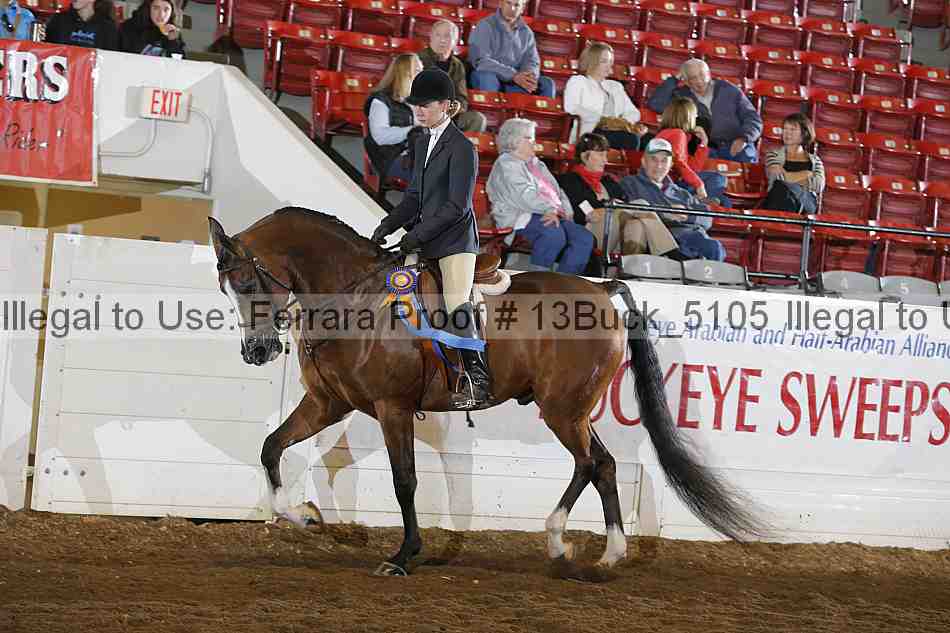 Proof 13buck_5105