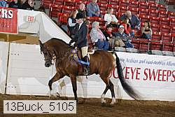 13buck_5105 proof