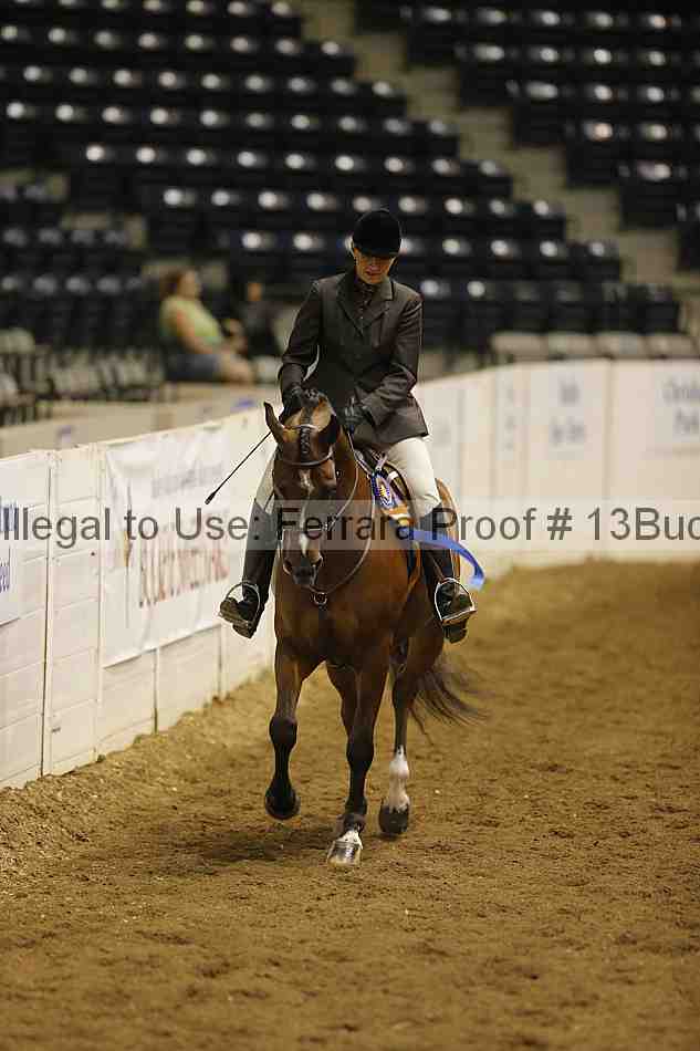 Proof 13buck_5106