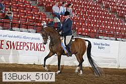 13buck_5107 proof