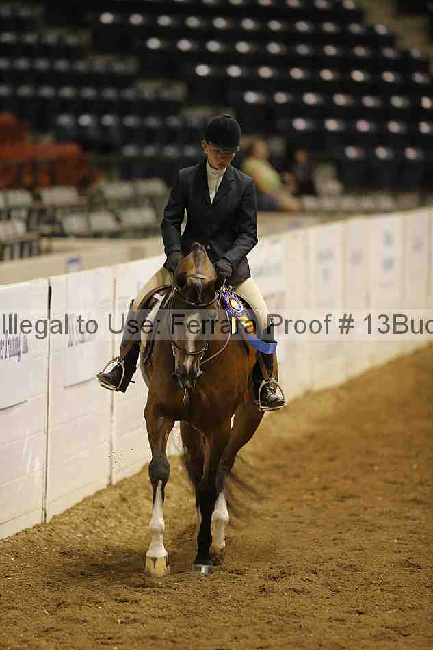 Proof 13buck_5108