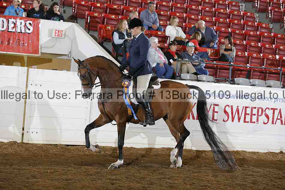 Proof 13buck_5109