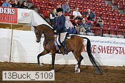 13buck_5109 proof