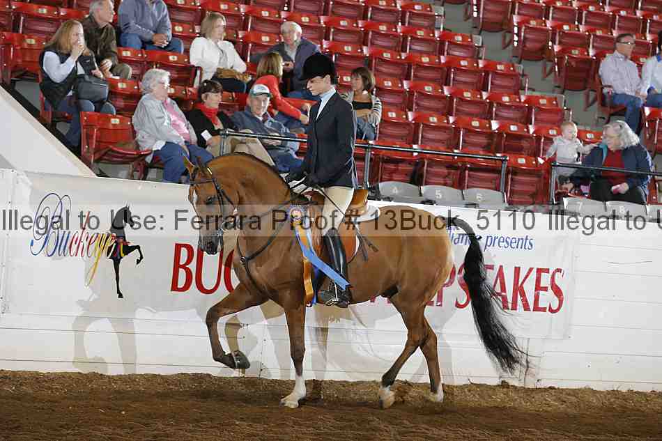 Proof 13buck_5110