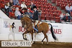 13buck_5110 proof