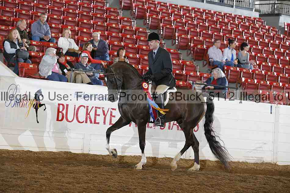 Proof 13buck_5112