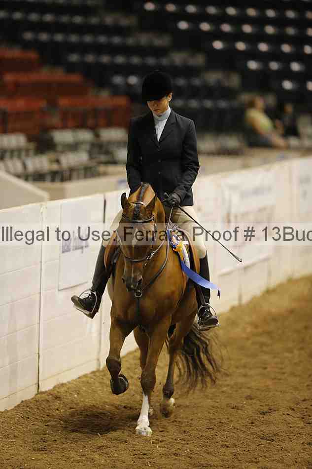 Proof 13buck_5113