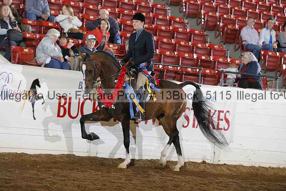 Proof 13buck_5115