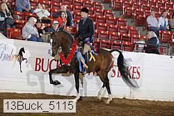 13buck_5115 proof
