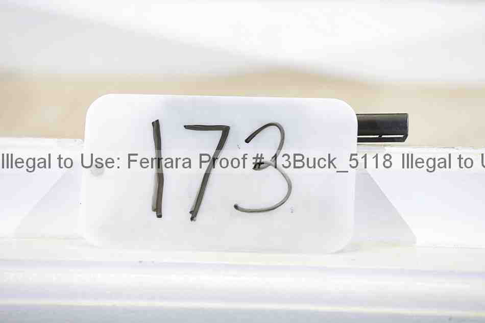 Proof 13buck_5118