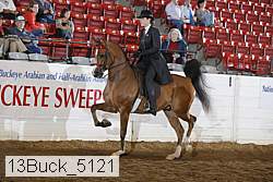 13buck_5121 proof