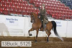 13buck_5125 proof