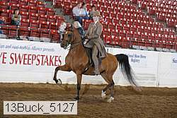 13buck_5127 proof