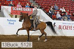 13buck_5128 proof