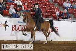 13buck_5132 proof