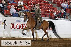 13buck_5134 proof