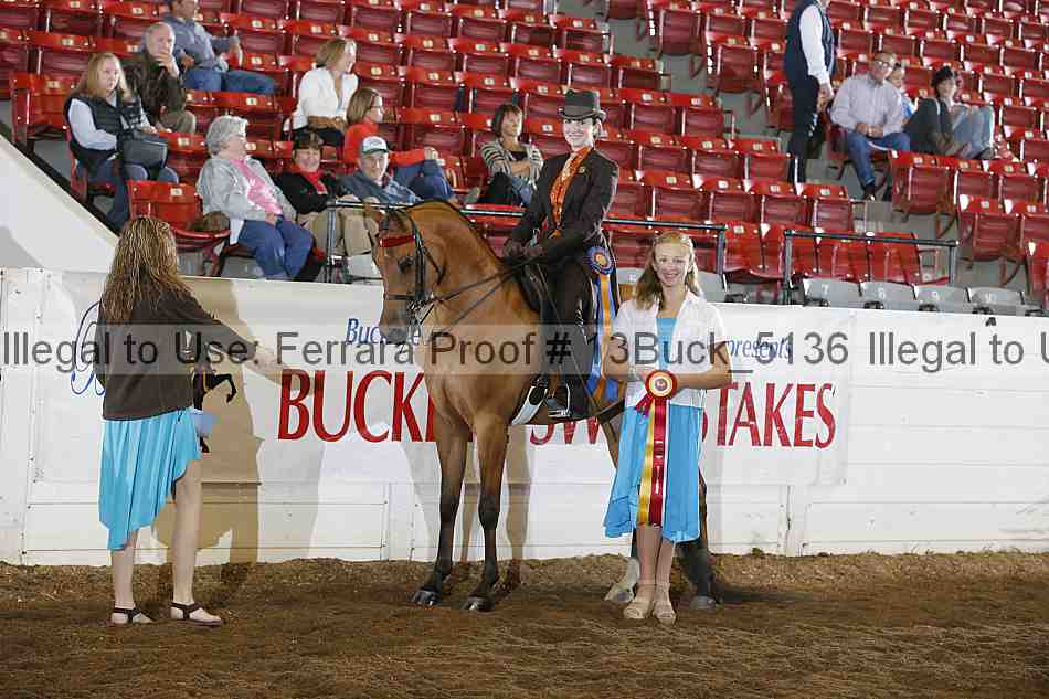 Proof 13buck_5136