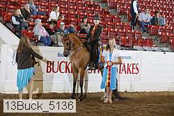 13buck_5136 proof