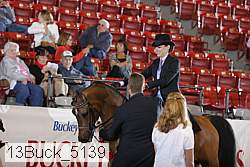 13buck_5139 proof