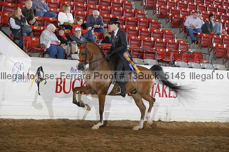 Proof 13buck_5145
