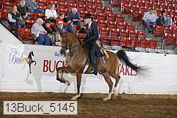 13buck_5145 proof