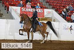 13buck_5146 proof