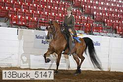 13buck_5147 proof
