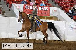 13buck_5148 proof