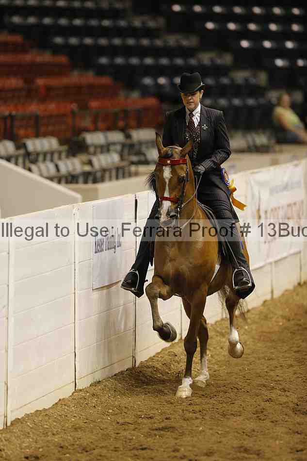 Proof 13buck_5149